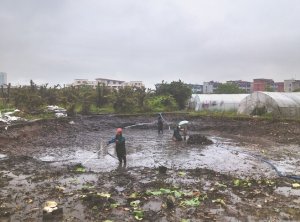 吕梁河道鱼塘清淤